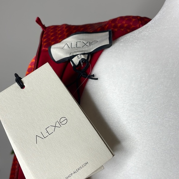 Alexis Red Striped Cocktail Dress - Picture 8 of 10